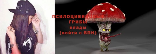 2c-b Алексин