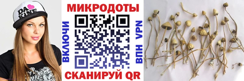 цены наркотик это какой сайт Псилоцибиновые грибы Cubensis Туймазы
